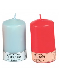 P02/MI Fragola